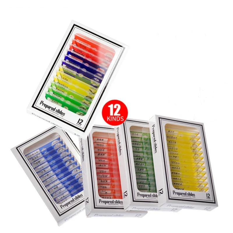 12x Stemscope Specimen Slides - Image 3