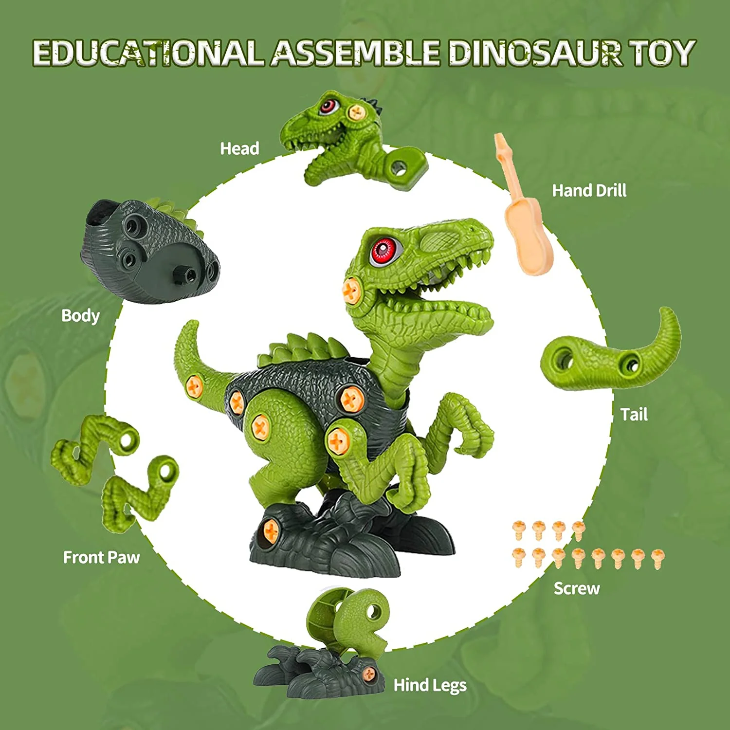 Build&Beyond - Dino Kit - Image 5