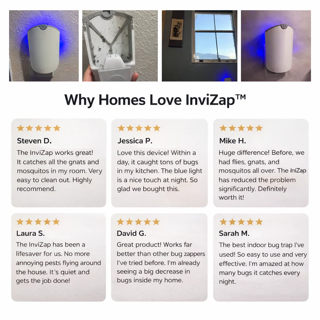 InviZap™️  - Discreet Flying Insect Trap - Image 5