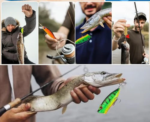 Merry Fishmas™️ - Advent Calendar - Image 3