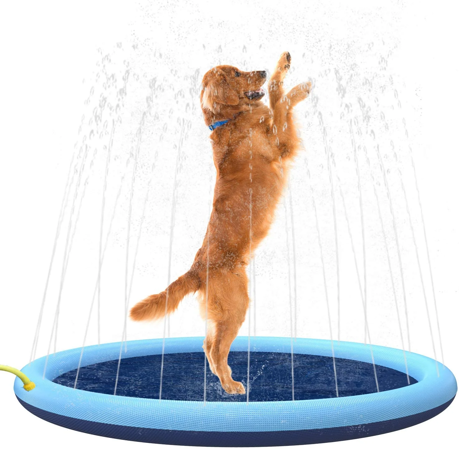 PawPool™️ - Original Dog Sprinkler Pool - Image 5